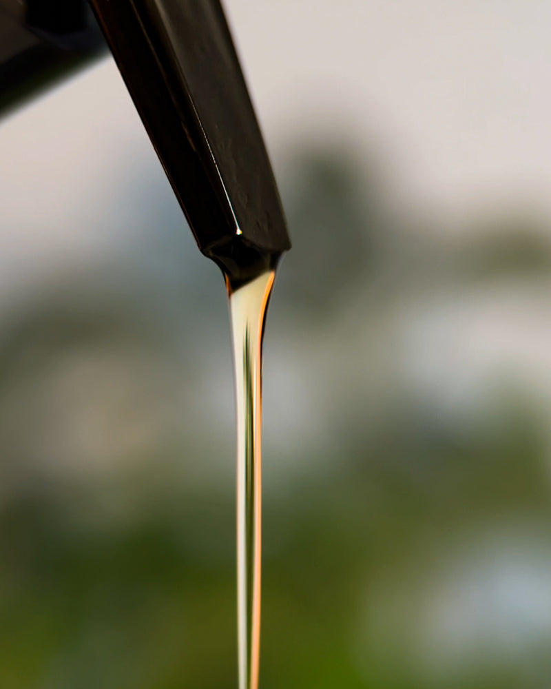 
                  
                    The Forgotten Garden
                  
                