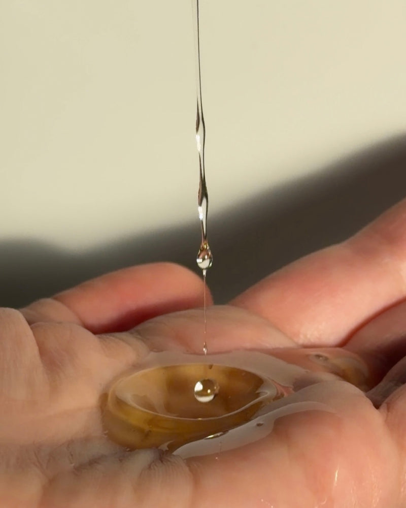 
                  
                    The Forgotten Garden
                  
                